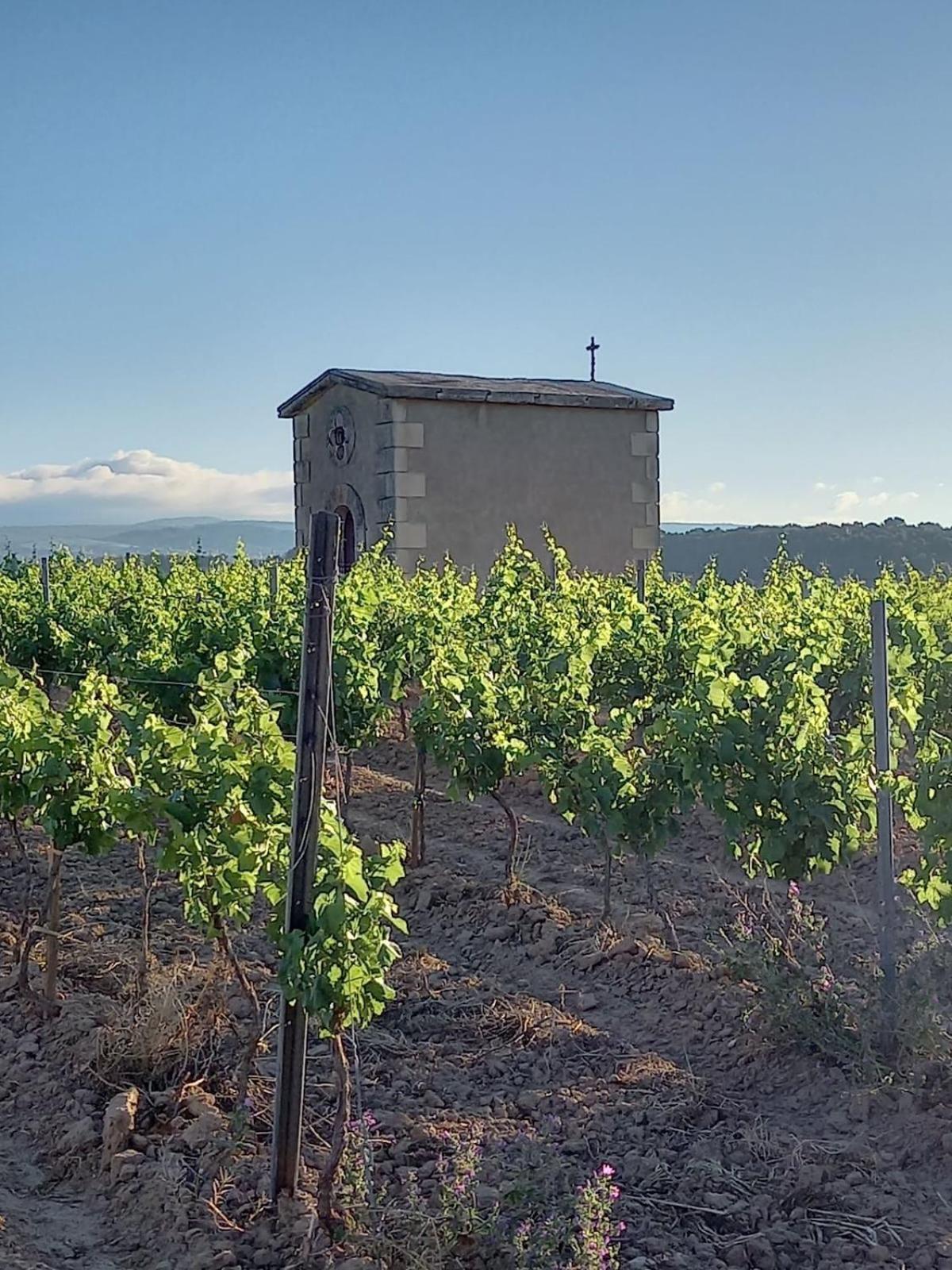 הוילה Rieux-Minervois Domaine Saint Augustin מראה חיצוני תמונה