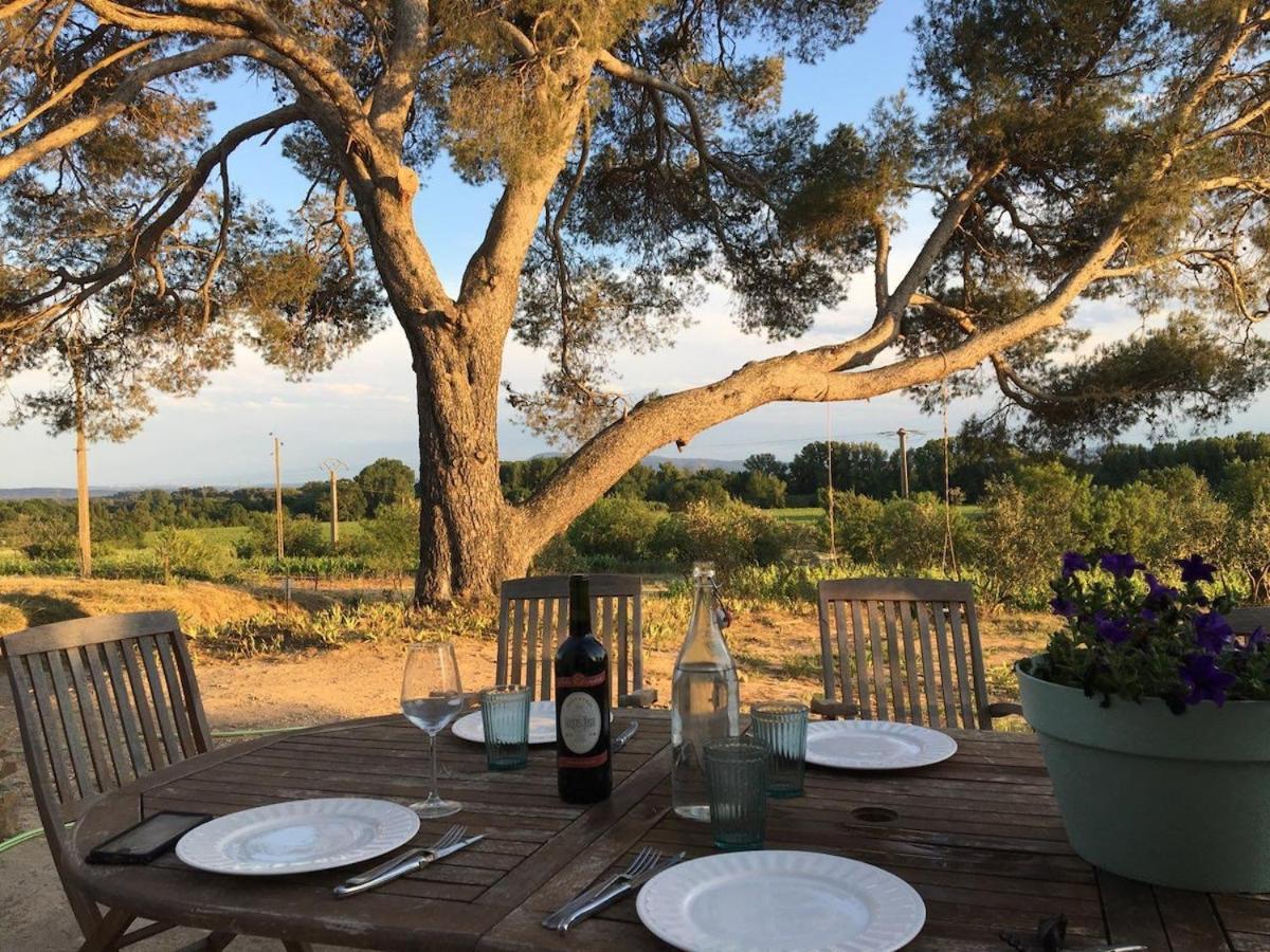 הוילה Rieux-Minervois Domaine Saint Augustin מראה חיצוני תמונה
