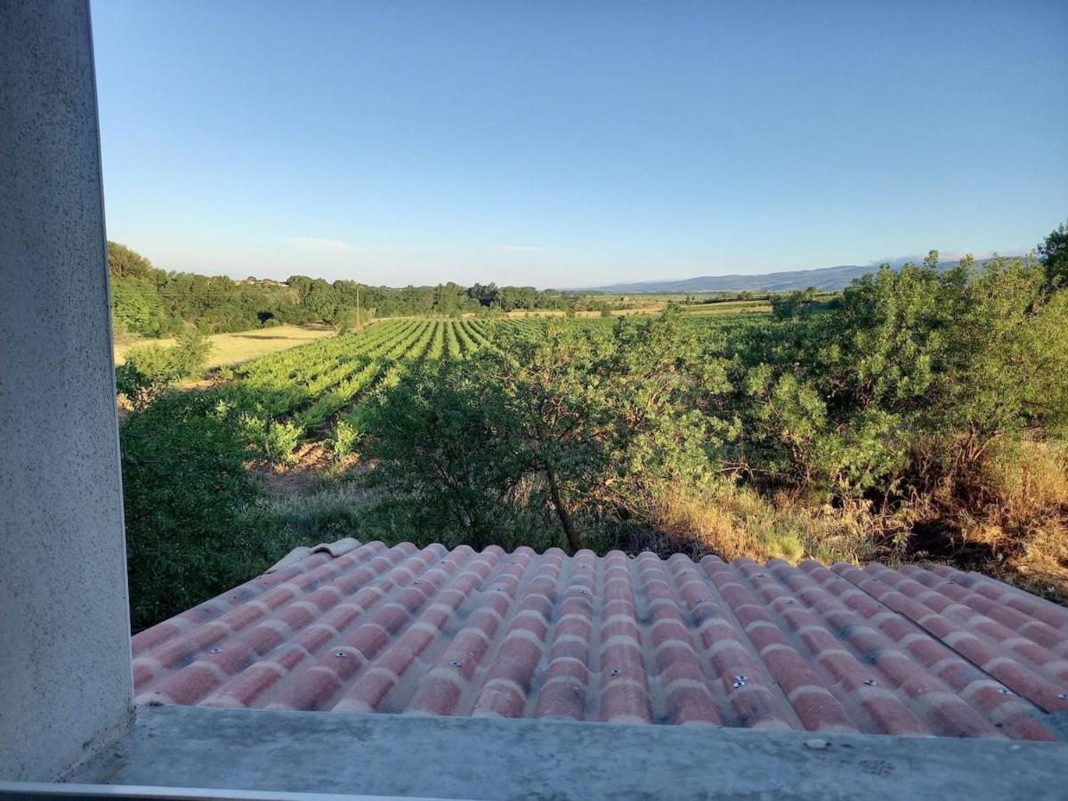 הוילה Rieux-Minervois Domaine Saint Augustin מראה חיצוני תמונה