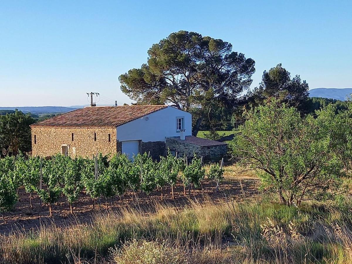 הוילה Rieux-Minervois Domaine Saint Augustin מראה חיצוני תמונה